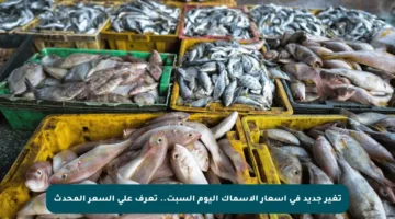 تغير جديد في أسعار الأسماك اليوم السبت.. تعرف على السعر المحدث